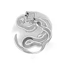 snake around playing cards tattoo design idea