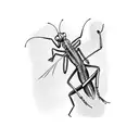 praying mantis with a murderer shadow tattoo design idea