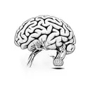 a brain that has its edges hanging out of a square to represent thinking outside the box tattoo design idea