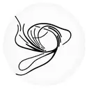 ichthys tattoo design idea