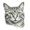 cat with eyes and white tattoo design idea