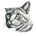 cat with eyes and white tattoo design idea