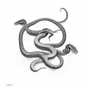the snake fights with the scorpion tattoo design idea