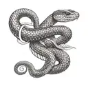 snake wrapping around arm with dollar eyes tattoo design idea