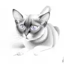Siamese cat long with piano  tattoo design idea