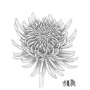 Chrysanthemum tattoo design idea