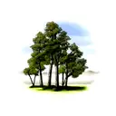 the birch tree tattoo design idea