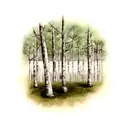 the birch tree tattoo design idea