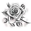Rose with Juniper branch tattoo design idea