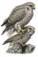kestrel tattoo design idea