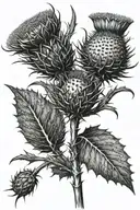 Scottish Thistle tattoo design idea