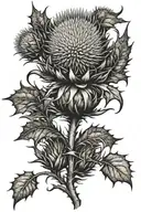 Scottish Thistle tattoo design idea