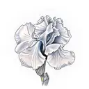 iris rose tattoo design idea