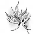 Bird of Paradise tattoo design idea