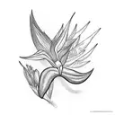 Bird of Paradise tattoo design idea