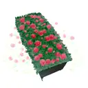 Coffin with roses tattoo design idea