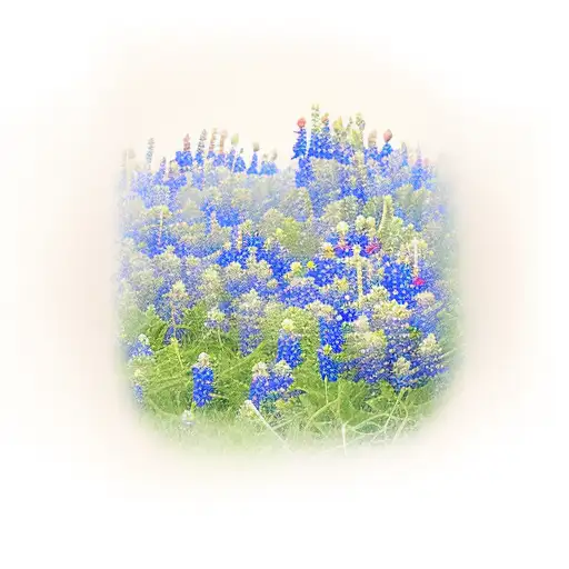 texas bluebonnets field  tattoo design idea