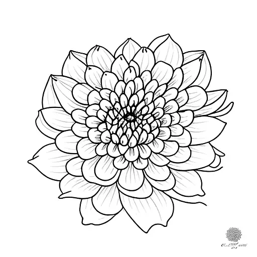 Chrysanthemum and violet flower side by side tattoo design idea
