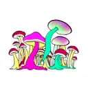 Psychedelic Mushroom Squid tattoo design idea