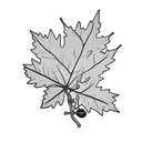 bouquet of Saskatoon berries, maple leaves, juniper branches with berries and eucalyptus  tattoo design idea