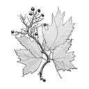 bouquet of Saskatoon berries, maple leaves, juniper branches with berries and eucalyptus  tattoo design idea