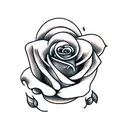 roses and skull shadow  tattoo design idea