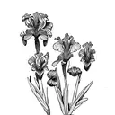  flower iris van gogh long tattoo design idea