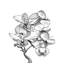Mockingbird with Orchids  tattoo design idea