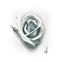 dove with a bloody rose  tattoo design idea