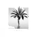 Palm Tree and bird  tattoo design idea