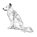 a border collie tattoo design idea
