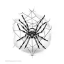 spider and web tattoo design idea