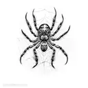 spider and web tattoo design idea