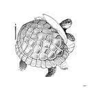 Turtle and Rabbit tattoo design idea