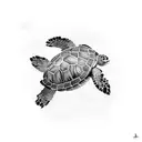 Turtle and Rabbit tattoo design idea