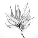 Bird of Paradise tattoo design idea