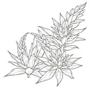 aloe tattoo design idea