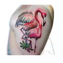 flamingos tattoo design idea