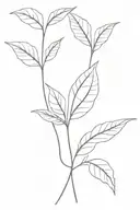 two leafs growing besides tattoo design idea