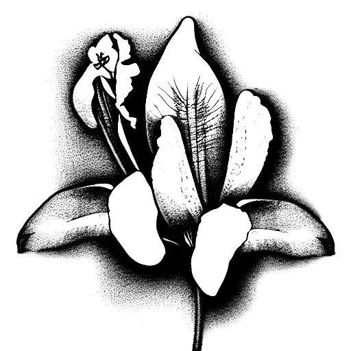 blue columbine and iris tattoo design idea