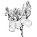 iris flower writting sensitive tattoo design idea