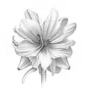 Morning glory, daffodil, carnation, snowdrop, marigold, cosmos tattoo design idea