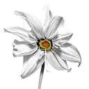 Morning glory, daffodil, carnation, snowdrop, marigold, cosmos tattoo design idea