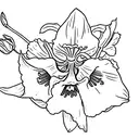 Morning glory, daffodil, carnation, snowdrop, marigold, cosmos tattoo design idea