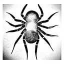 Spider tattoo design idea