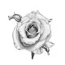 jonquil daffodil rose bouquet  tattoo design idea
