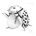 Ladybug tattoo design idea