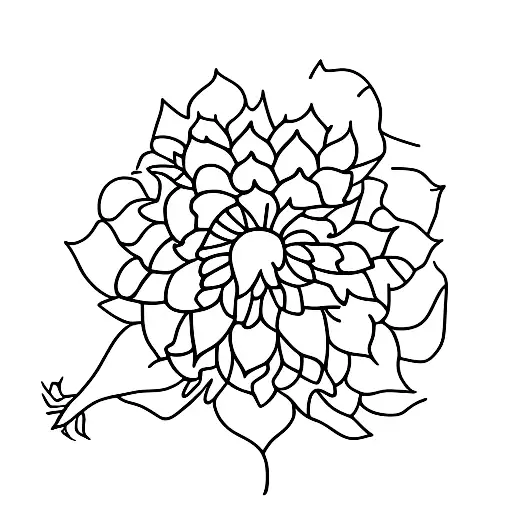 Lotus Flower, Daisie, Lily, Cherry Blossom, Dandelion, Sunflower tattoo design idea