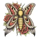 death hawk moth resting tattoo design idea