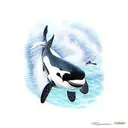 orca diving into the ocean tattoo design idea